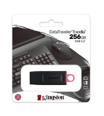 740617310023 PEN DRIVE USB KINGSTON 3.2 256 GB DTX/256GB