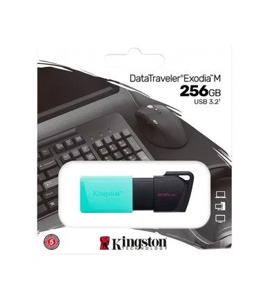 740617326383 PEN DRIVE USB KINGSTON 3.2 256 GB DTXM/256GB